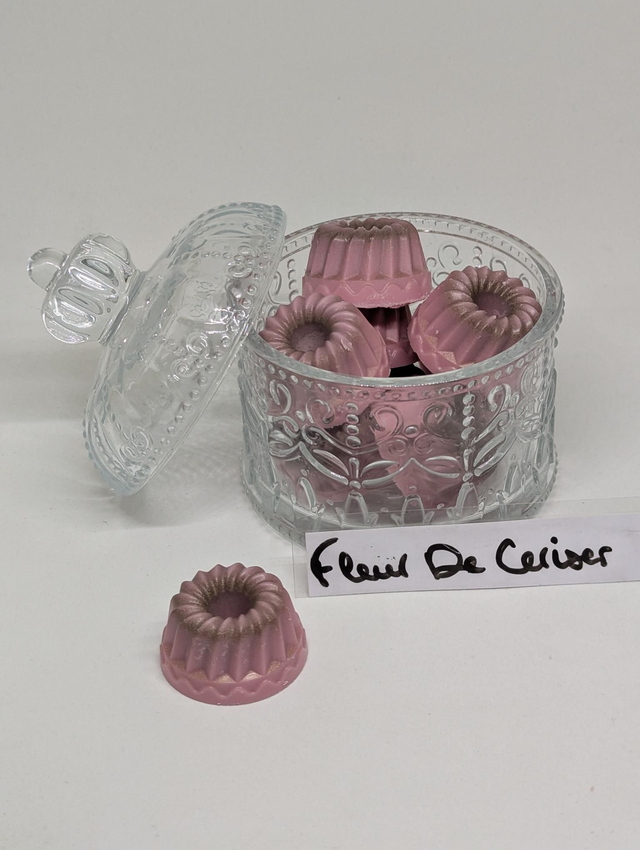 Fleur de cerisier 