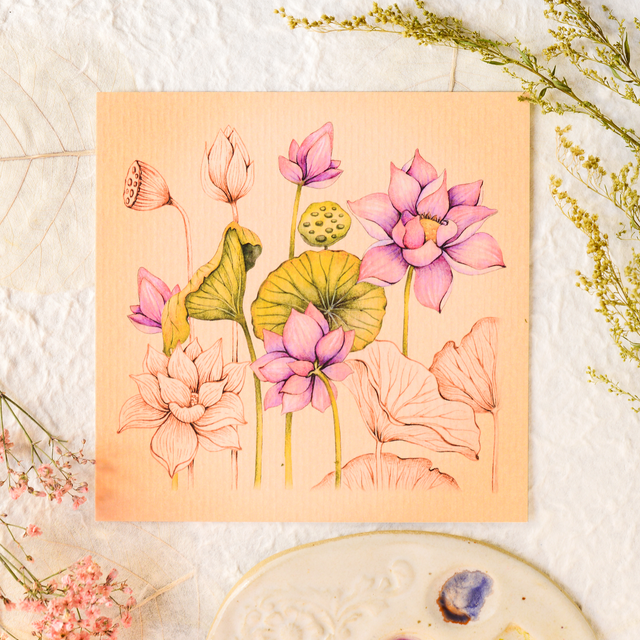 &quot;Indian Lotus&quot; postcard