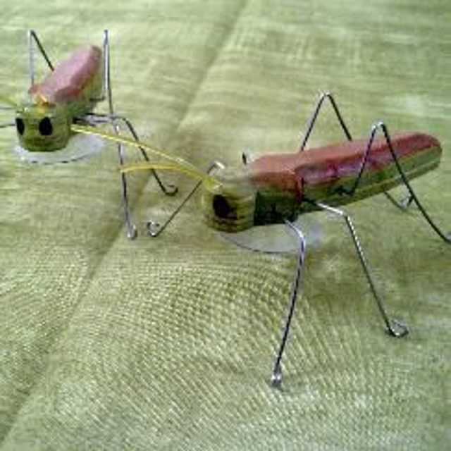 Saltamontes saltarín