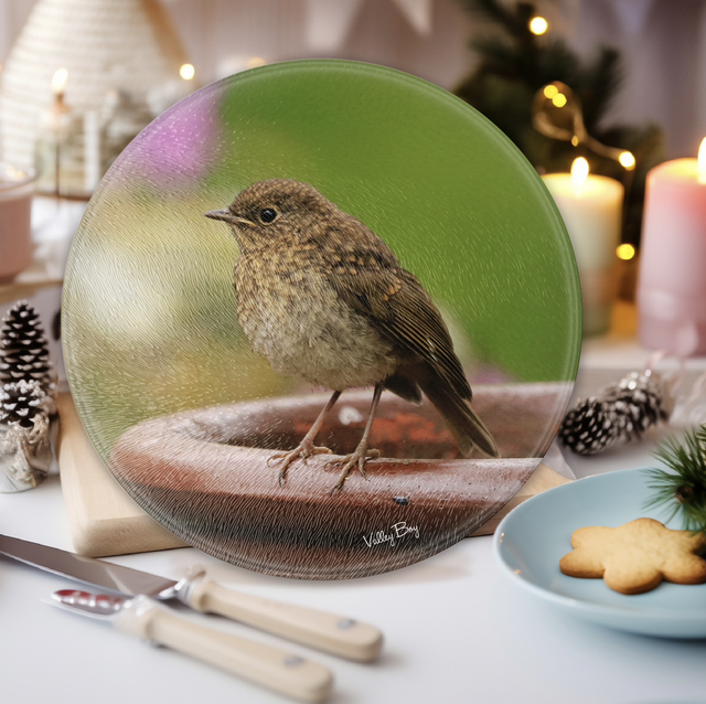 “Baby Robin” Round Worktop Saver 