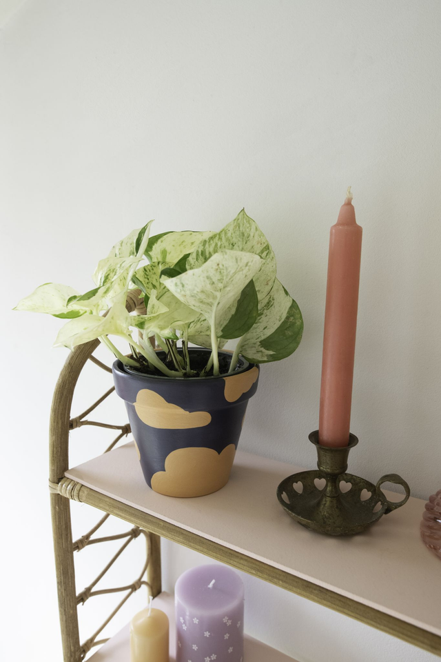 Midnight Flight 💜 Pot + Plante + Soucoupe