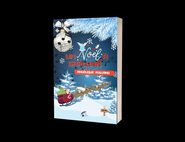 Livre: Un Noël a Garlonn 