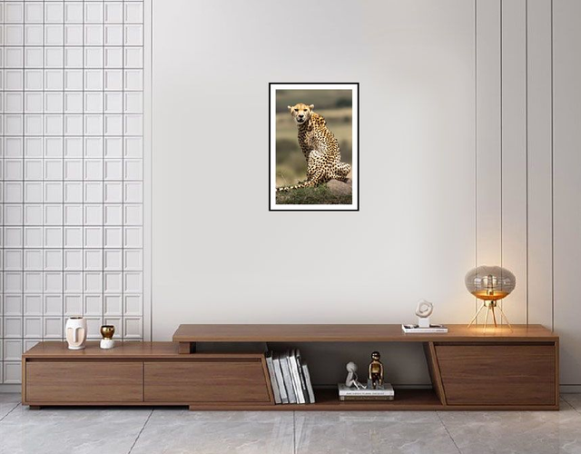 Guépard - réserve Masaï Mara - Kenya - ref: k-1478