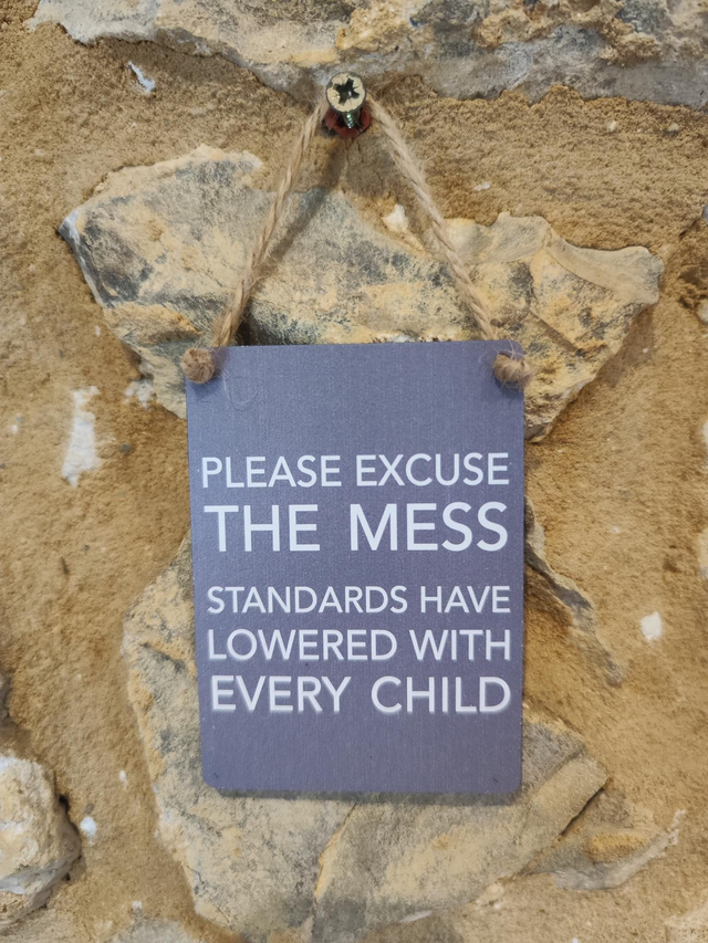 Excuse the Mess Hanging Sign