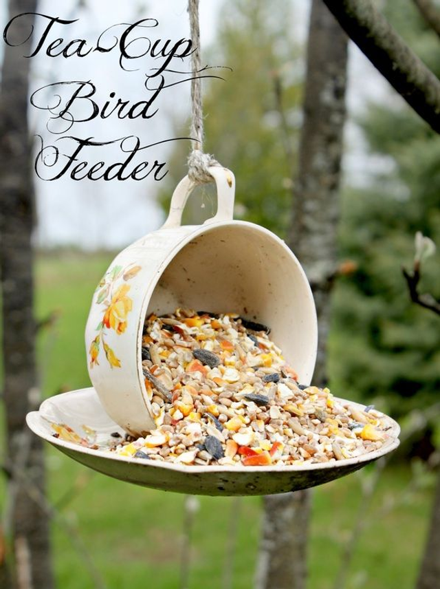 Tea cup Feeder 100