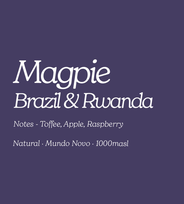  St Martins Coffee Roasters Magpie whole