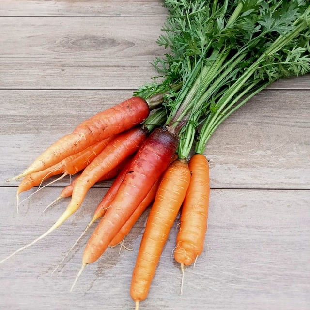 Carotte 500g 🧺