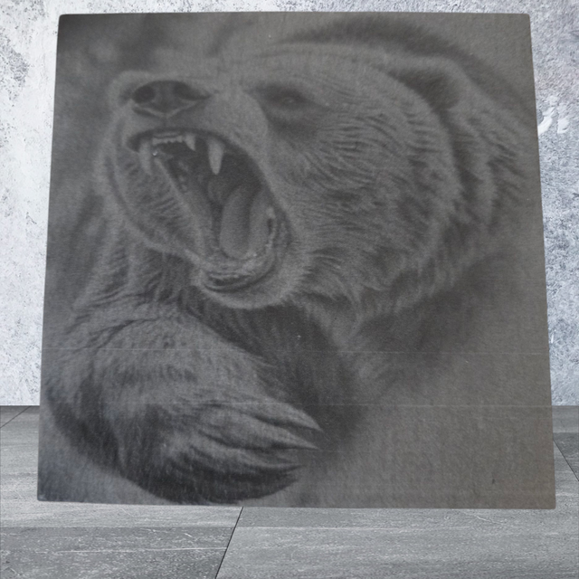 Slate Coaster - Grizzly Bear