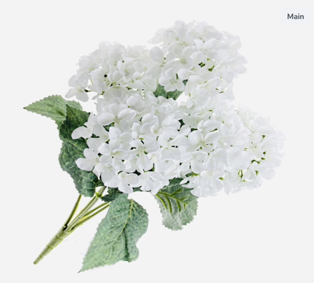 Hydrangea Bush White