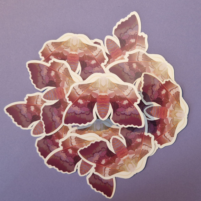 Poplar Hawk Moth Sticker