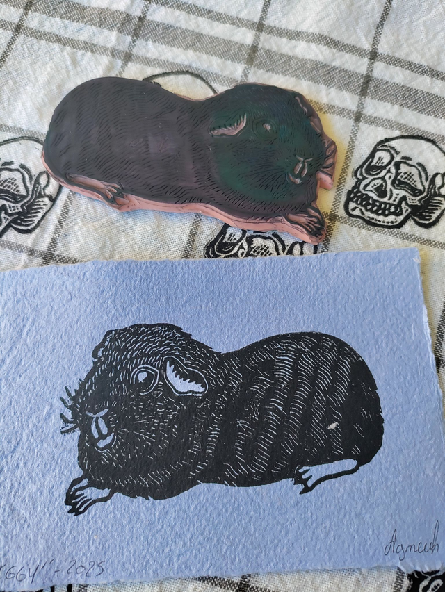 linogravure " Iggy" , cochon d'inde noir 10X15 cm