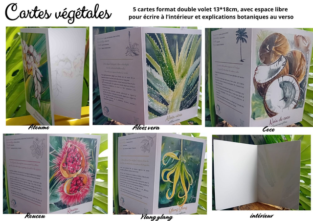 5 cartes végétales aquarelle double volet 13*18cm