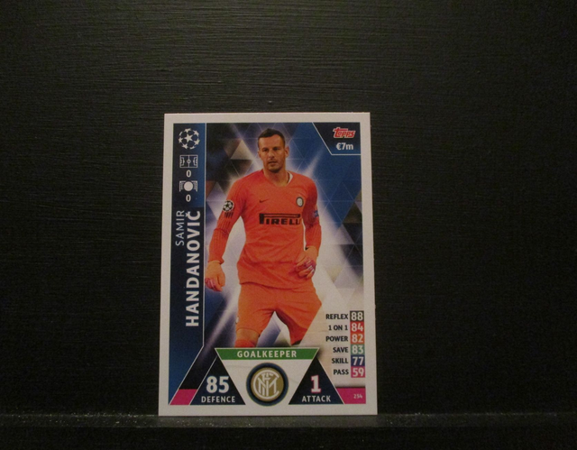 Samir Handanovic - UEFA Champions League Match Attax 2018/19 Original Trading Card #254