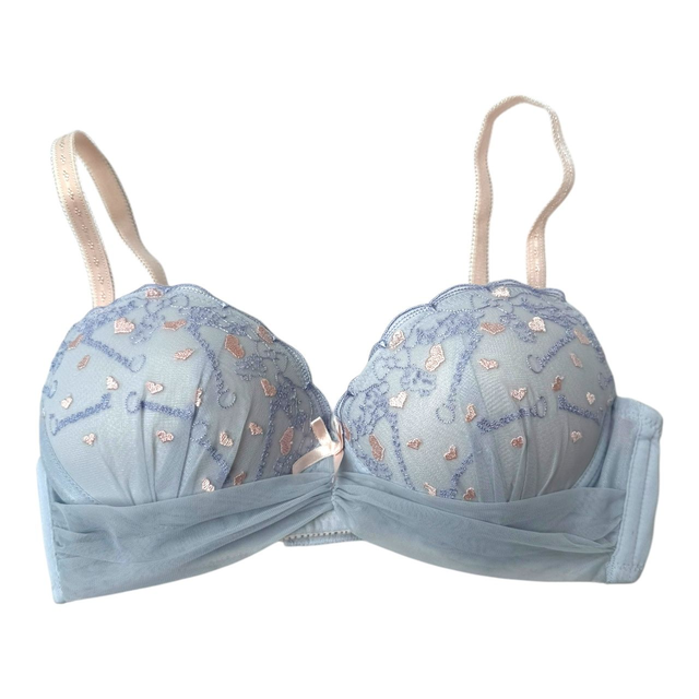 Cinnamoroll blue embroidered bra