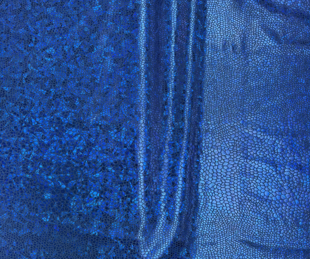Royal Blue Holo Lycra