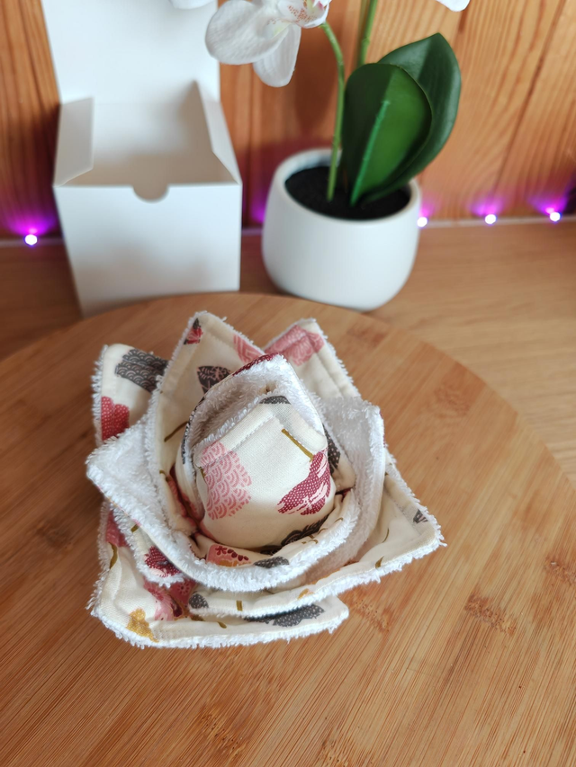 Lotus fleurs couleurs