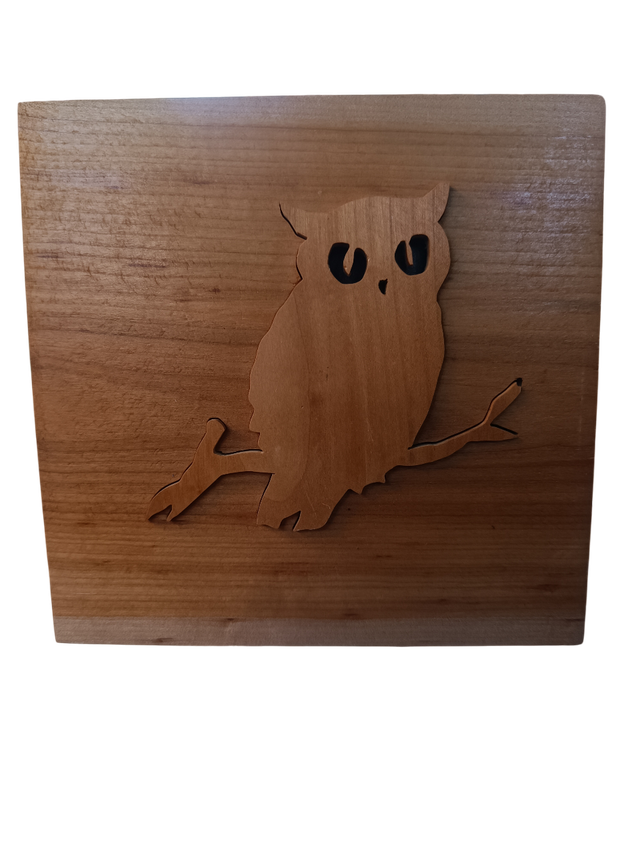 Chouette 3D