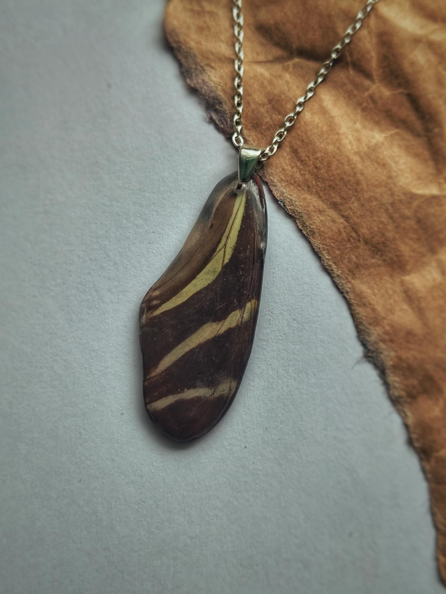 Butterfly Front Wing Necklace