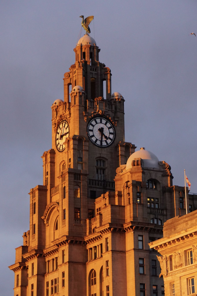 Liver Building Sunset - Print