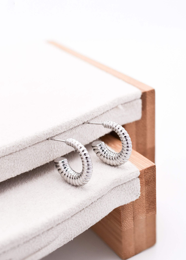 Posh Silver Earrings
