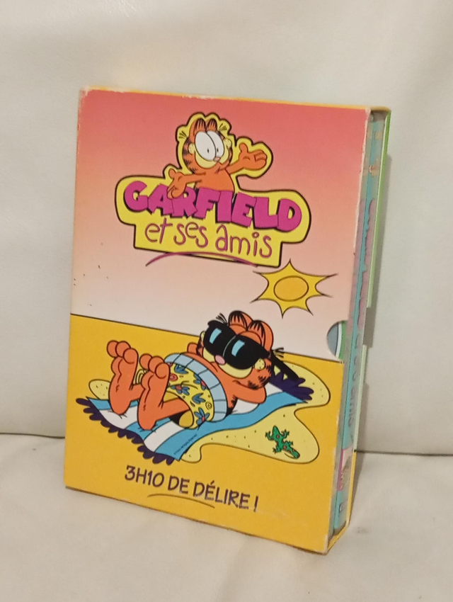 Coffret 2 DVD Garfield et ses amis