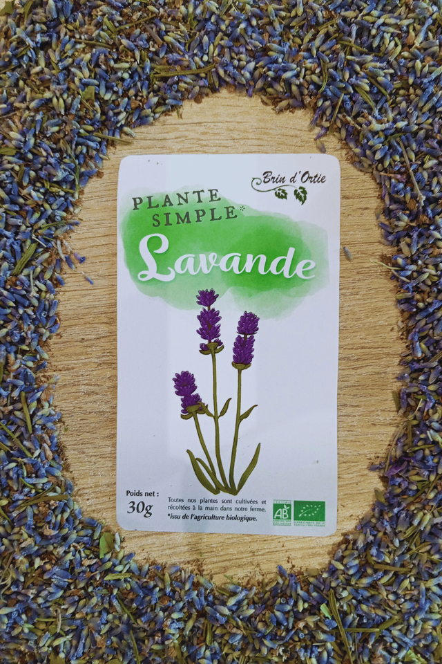 Fleur simple, Lavande