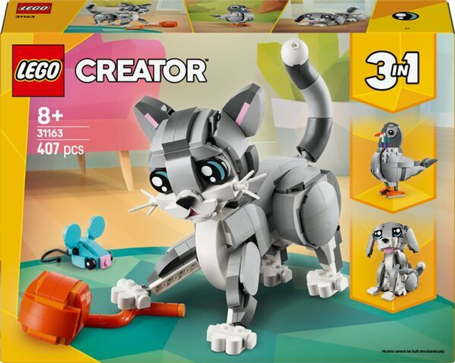 Hauskatze 31163