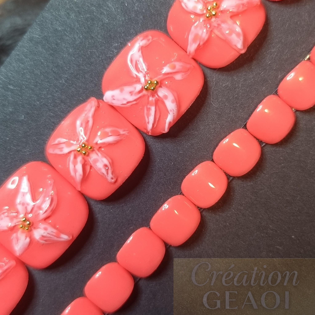 Corail sun flower little pieds