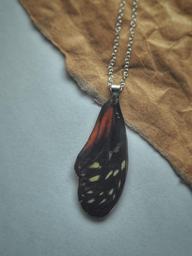 Butterfly Front Wing Necklace