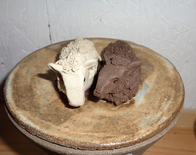 boîte Duo de moutons-Ames jumelles 