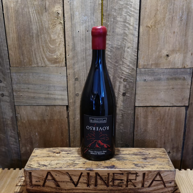 Roverso Merlot Riserva Colli Euganei doc 2021  Tenuta Gambalonga Vol. 13.5% cl 75