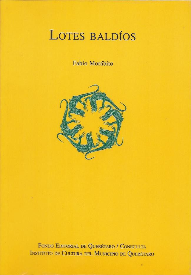 Lotes baldíos - Fabio Morábito