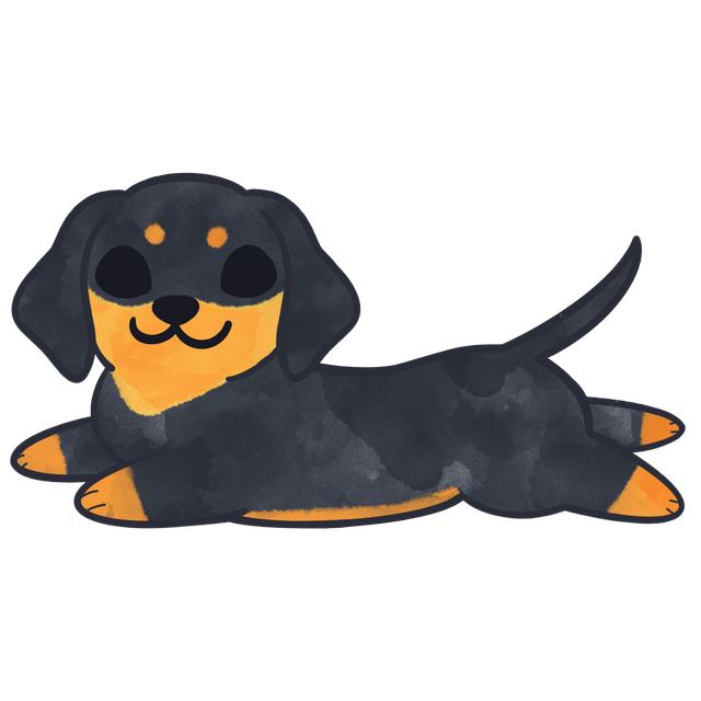 Dachshund