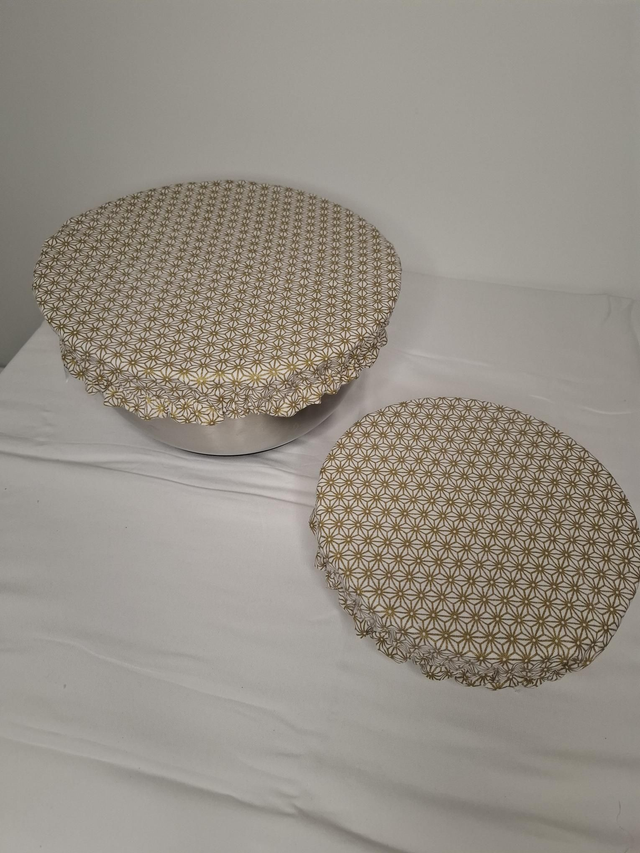 Charlotte alimentaire 