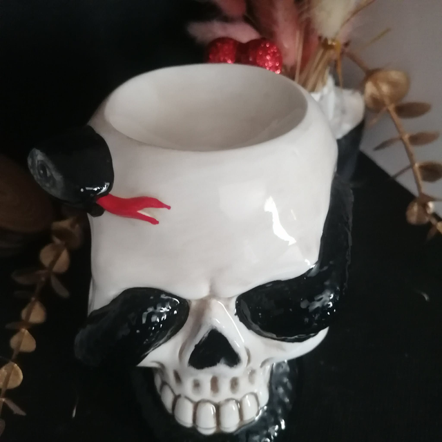 Brûle parfum en Céramique - Crâne et python