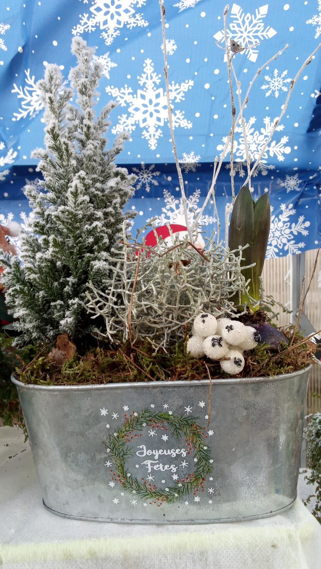 Compo noel exterieure 