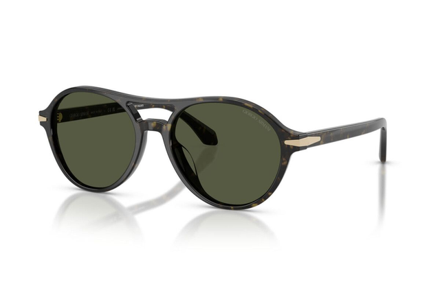 Eyewear Man Giorgio Armani  AR 8236U 623352
