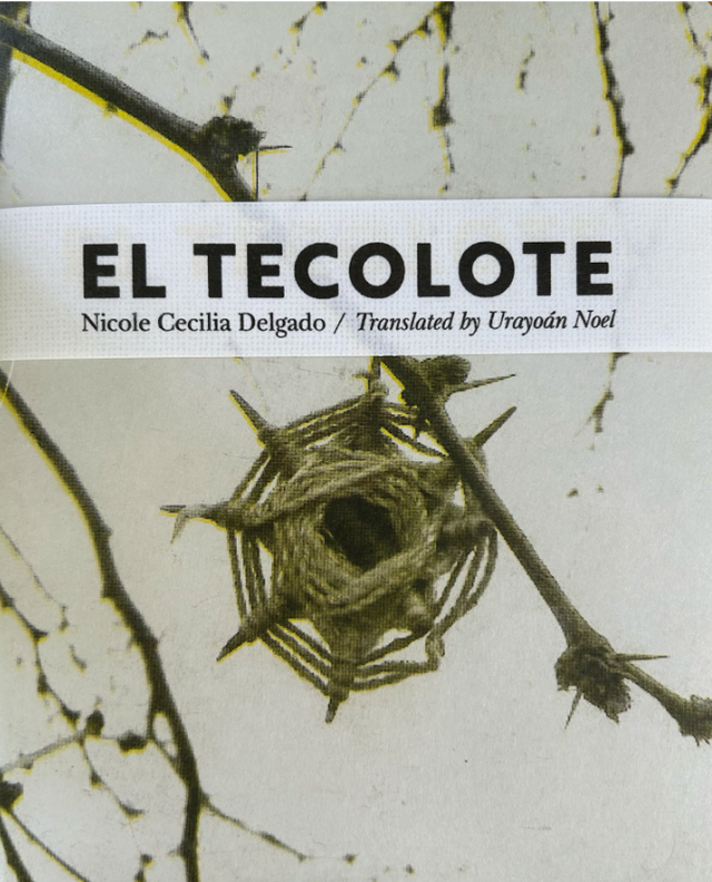 El tecolote – Nicole Cecilia Delgado