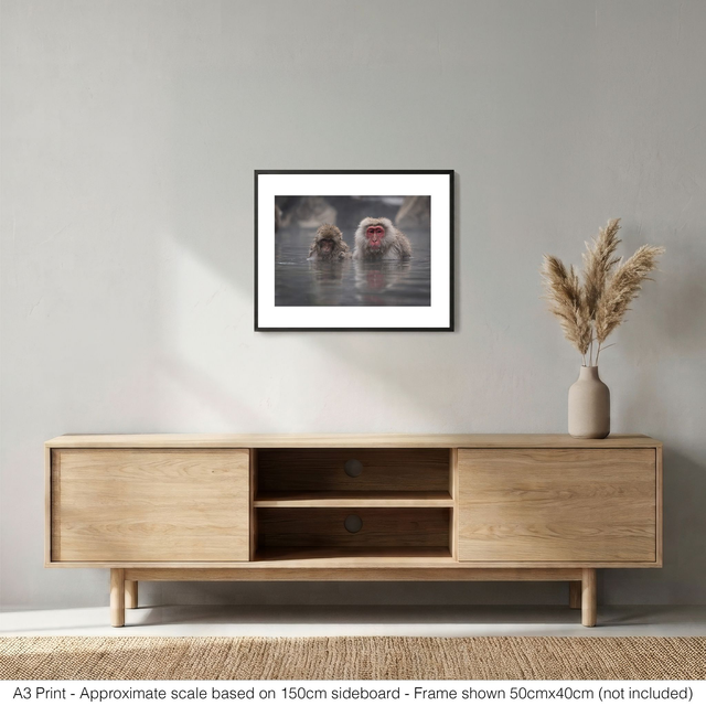 Snow Monkeys - Mr & Mrs Snow Monkey