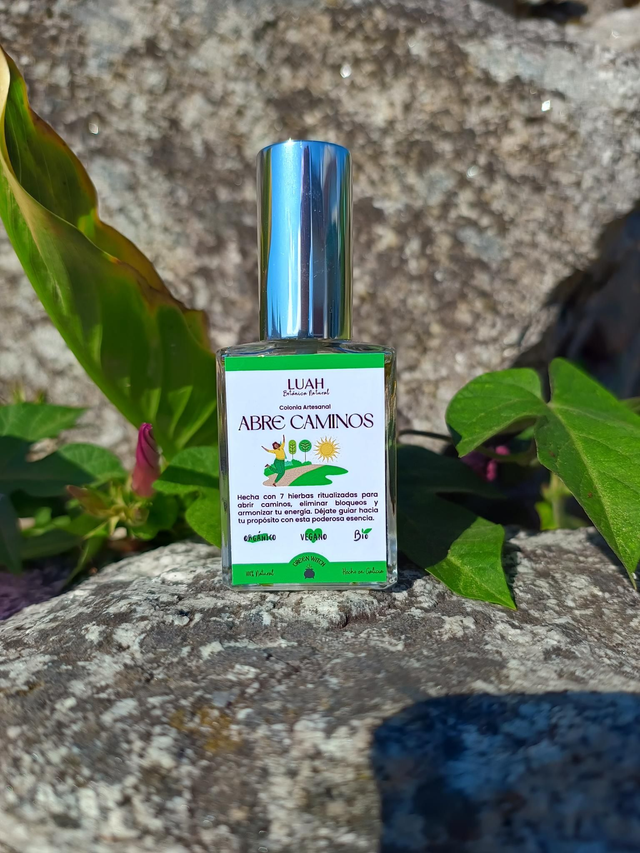 Colonia artesanal abre caminos