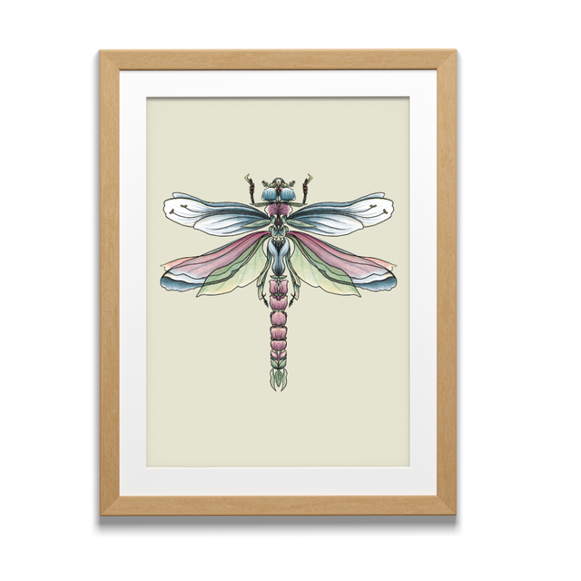 Art Print - Floral Bugs - Dragonfly illustration