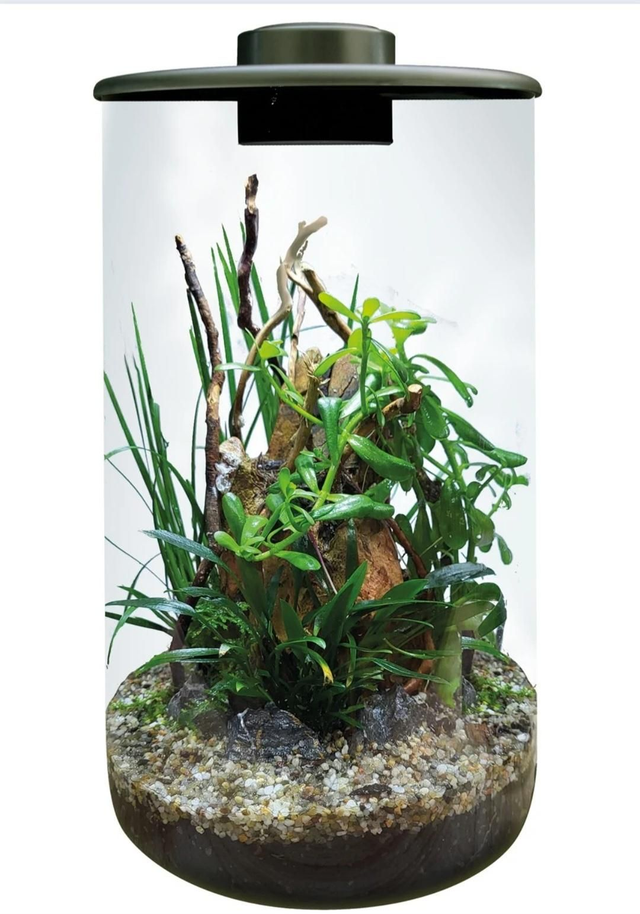 Bio art cylinder zwart 285 8715897349461