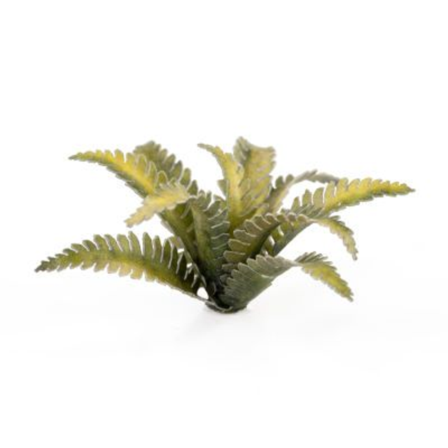 Laser Plants - Deer Fern