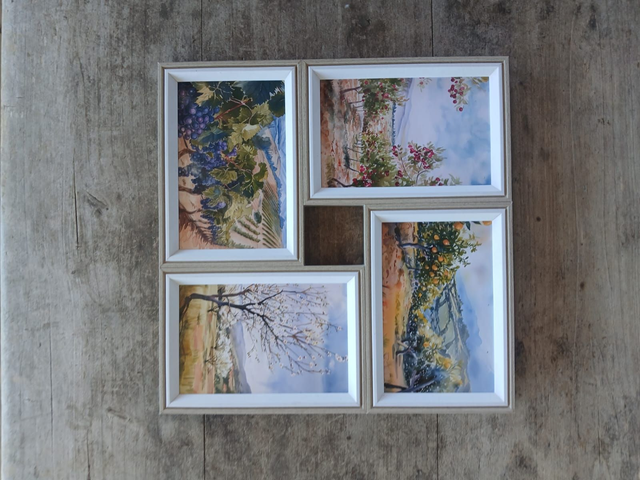 Ilustración Vegetación Mallarauco 2