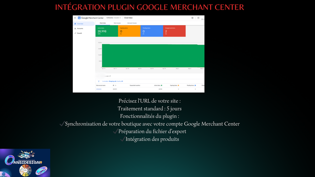 Intégration plugin Google Merchant Center