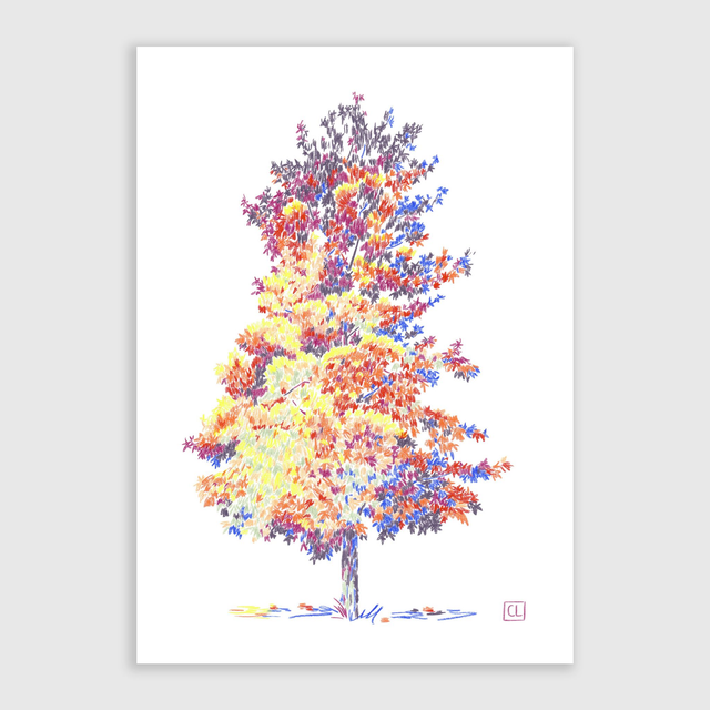 Tirage d'art - Liquidambar