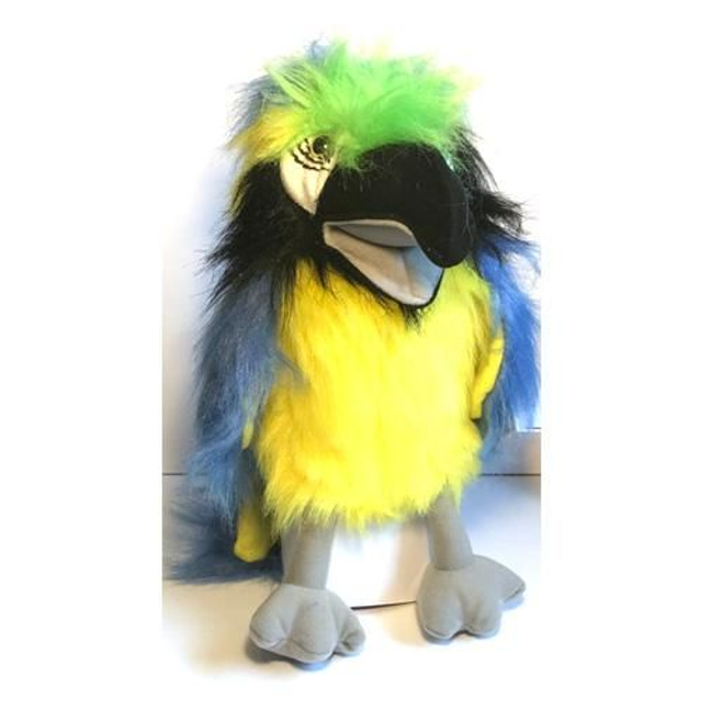 Blue &amp; Gold Macaw