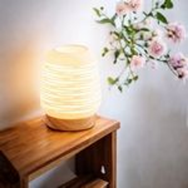 Diffuseur par Chaleur Douce CALORYA N° 16