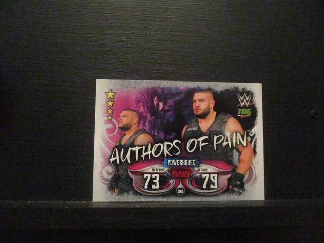 Authors Of Pain - Tag Teams Slam Attax Live Original Trading Card #328