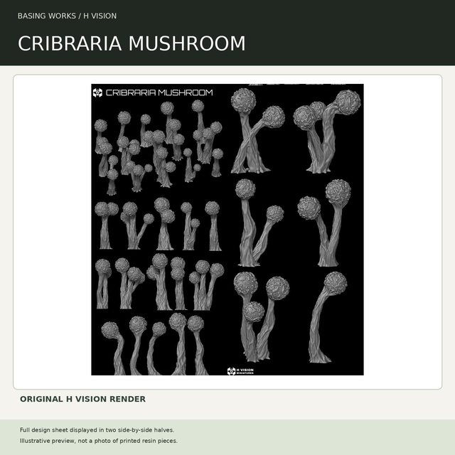 H Vision - Cribraria Mushroom